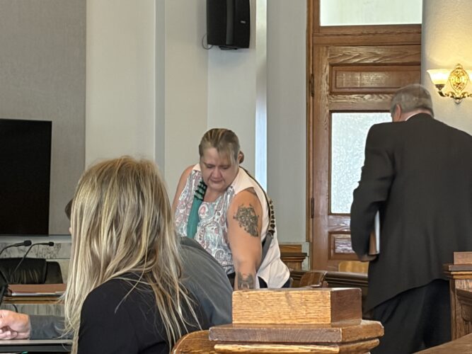 Elkins woman sentenced in Medicaid fraud case
